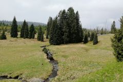 2_IMG-20180505-WA0019