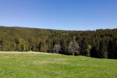 2_IMG-20180507-WA0013