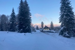 IMG_5847