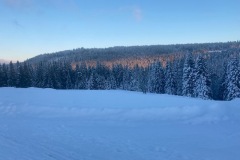 IMG_5852