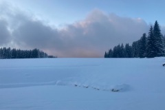 IMG_5855