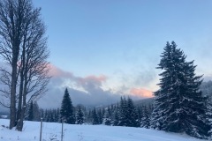 IMG_5857